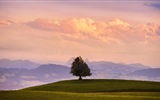 Beautiful natural landscapes HD Wallpapers #9