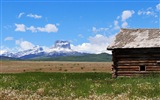 Rural scenery, Windows 8 HD wallpapers #18