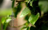 08. 2015 kalendář tapety (1) #11