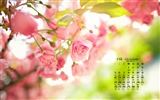 Října 2015 kalendář tapety (1) #9