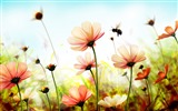 Schöne Blumen mit Tau HD Hintergrundbilder #10
