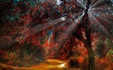 나무, 산, 물, 일출과 일몰, 자연 풍경의 HD 배경 화면 #19