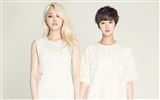 Corea niñas de fondos de pantalla de alta definición Spica combinación música idol #4