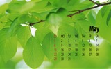 Květen 2016 kalendář tapety (1) #19