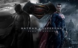 Batman v Superman: El origen de Justicia de 2016 fondos de pantalla de alta definición de películas #3