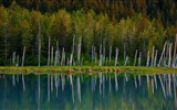 August 2016 Bing theme HD wallpapers (2) #21