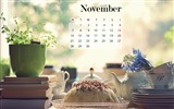 Fondo de escritorio del calendario de noviembre de 2016 (1) #18