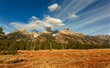 USA-großartige Teton Nationalparknatur-Landschaftstapeten HD #8