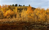 USA-großartige Teton Nationalparknatur-Landschaftstapeten HD #14