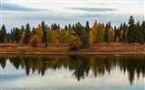 USA Grand Teton národní park přírodní krajiny HD tapety #18